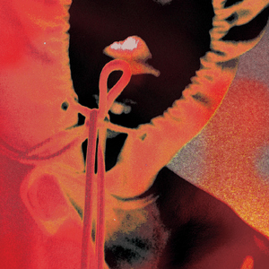 2017天天日天天干
